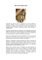 ERVAS DE OBALUAIÊ (1).pdf